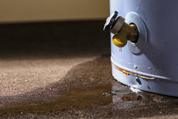 Best Carpet water damage restoration  in Redwater, TX