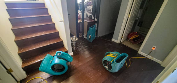 Best Water damage restoration mold remediation  in Redwater, TX
