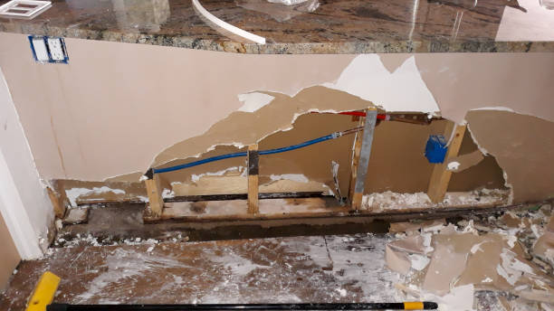 Best Water damage contractors near me  in Redwater, TX