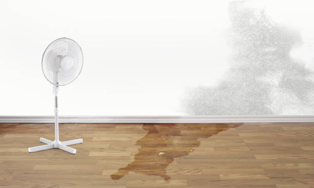 Best Emergency water damage restoration  in Redwater, TX
