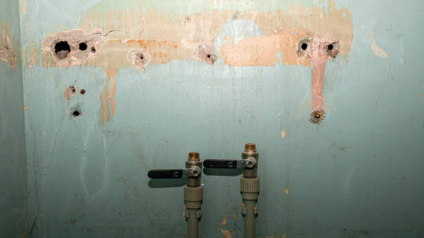 Carpet water damage restoration in Redwater, TX