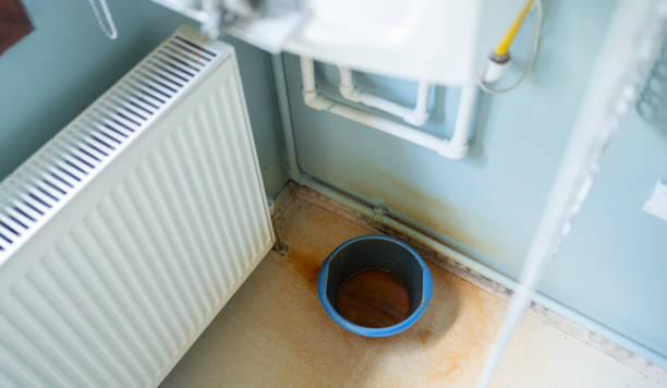 Best Professional water damage repair  in Redwater, TX