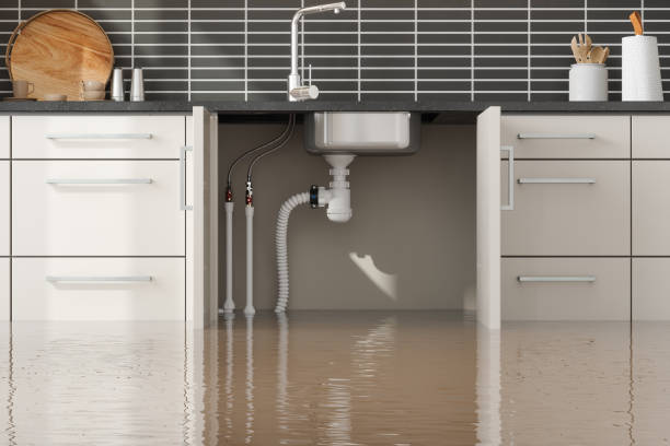 Carpet water damage restoration in Redwater, TX