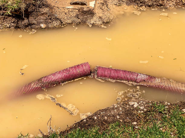 Best Water damage repair service  in Redwater, TX