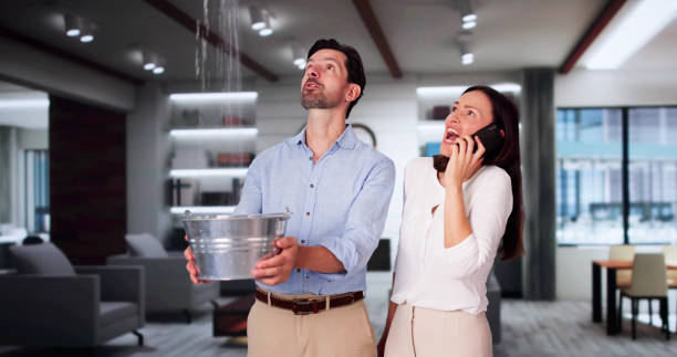 Best Water damage restoration insurance claims  in Redwater, TX