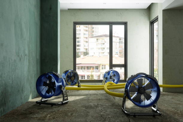 Best Ceiling water damage repair  in Redwater, TX